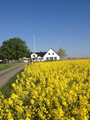 Arnhög Farm, Borrby